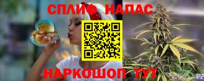 гидра Будённовск