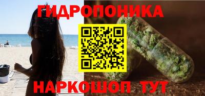 гидра Будённовск