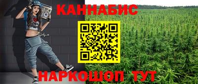 гидра Будённовск