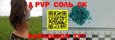 гидра Будённовск