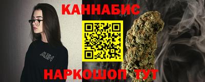 гидра Будённовск